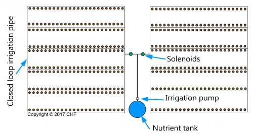 hydroponic bag culture irrigation layout