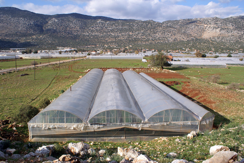 multi-span greenhouse structure