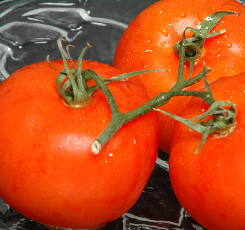 tomato fertigation formulation