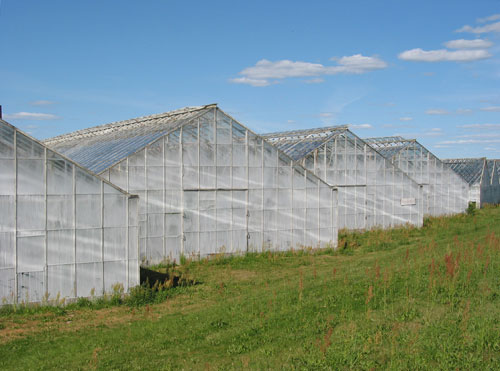 Greenhouse structure - what works