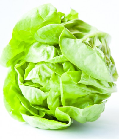 lettuce mature management harvest predict head butter crisp iceberg hydroponics greenhouse