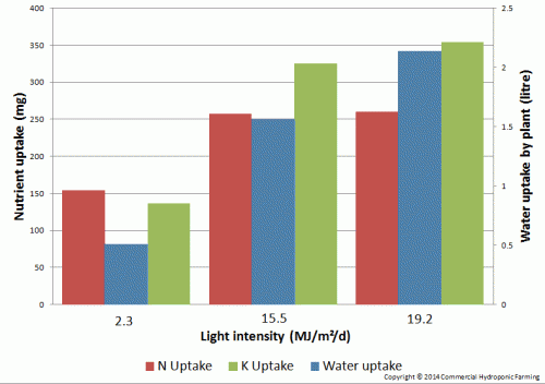 water uptake nutrient nitrogen potassium cucumber hydroponics