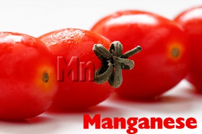 Manganese and tomato uptake is influenced by ph and bacteria
