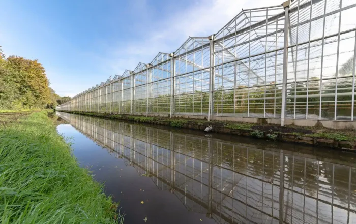 water quality hydroponics greenhouse tomatoes crops