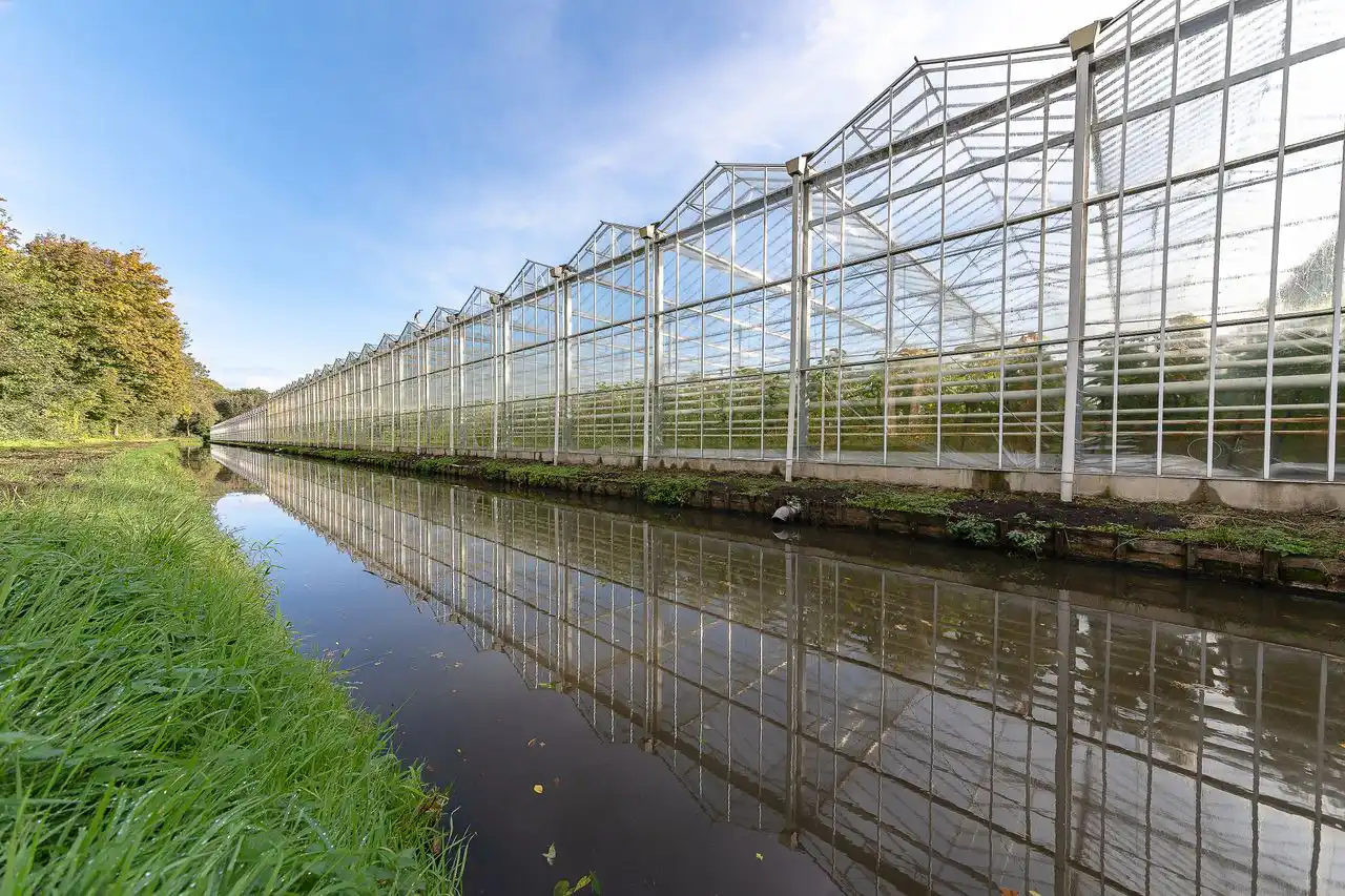 water quality hydroponics greenhouse tomatoes crops